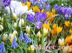 Plán aktivít Marec 2015